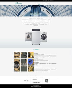 智享生活，科技未来——打造一体化家电品牌官网设计